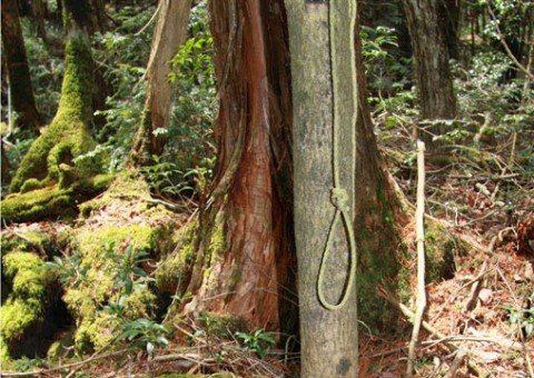 Homem se mata após assassinar esposa com tiro na cabeça na frente do filha de 8 anos 