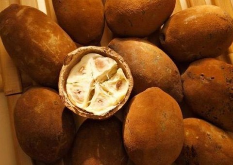 Shopping em Manaus terá feira de produtos regionais