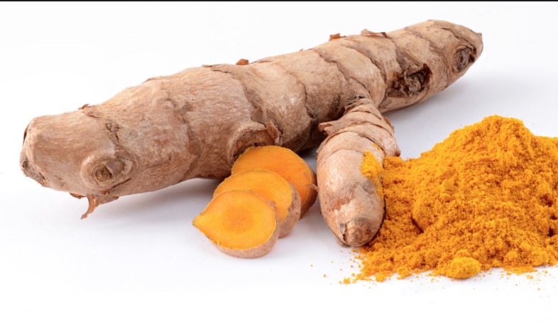 Conheça planta que pode tratar Inflamações no intestino, artrite e fibrose   