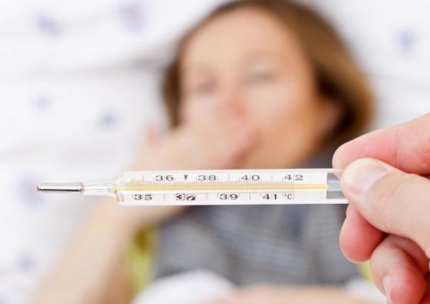 Conheça planta que pode combater problemas na bexiga e febres inflamatórias