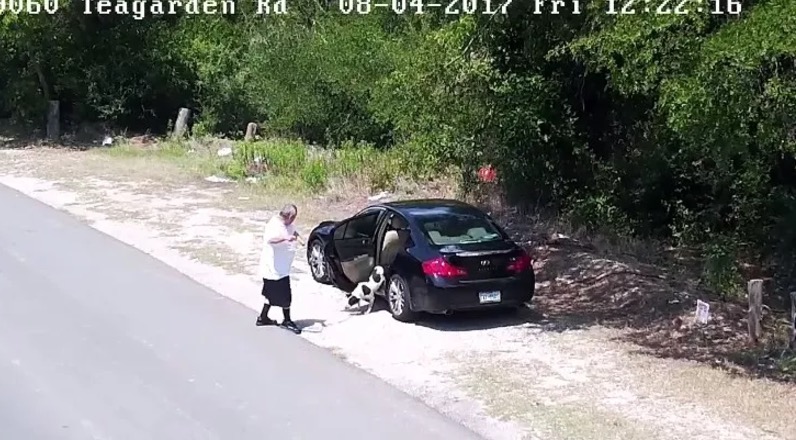 Homem é flagrado abandonando cadela à beira de estrada e se dá mal 