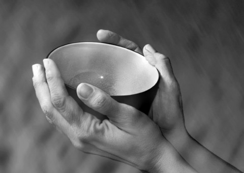 Relatório mostra que 815 milhões de pessoas passam fome no mundo