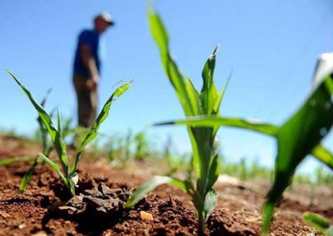  Coari reduz secretarias e retira mais de 700 produtores rurais do Serasa