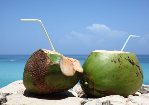 Saiba os benefícios de tomar água de coco logo cedo