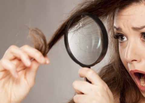 Plantas podem ajudar a cobrir os cabelos brancos de forma natural 