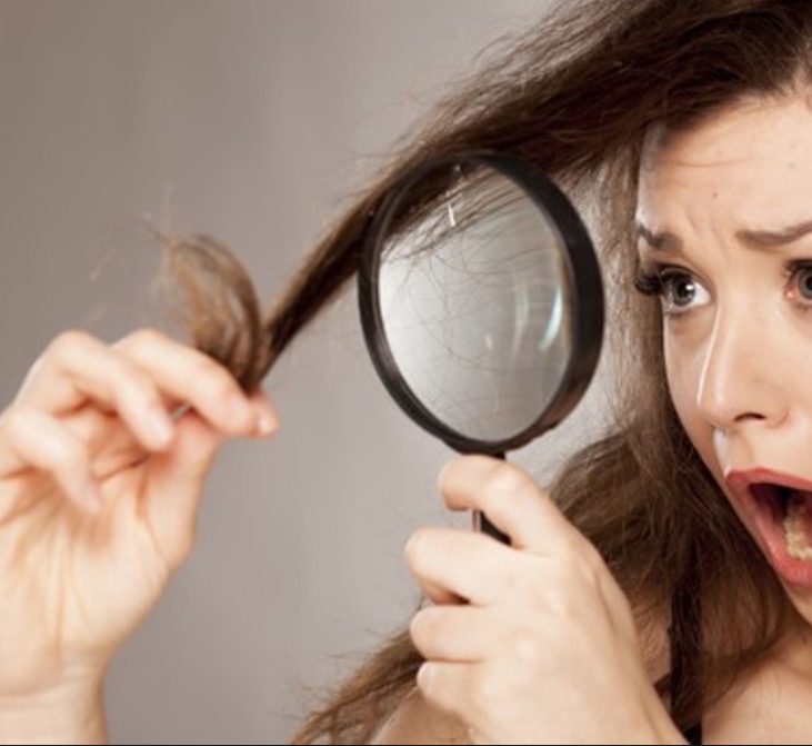 Plantas podem ajudar a cobrir os cabelos brancos de forma natural 