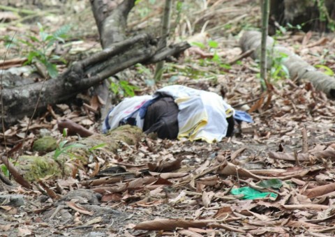 Mulher vai pegar manga em terreno baldio e encontra corpo semidegolado em Manaus