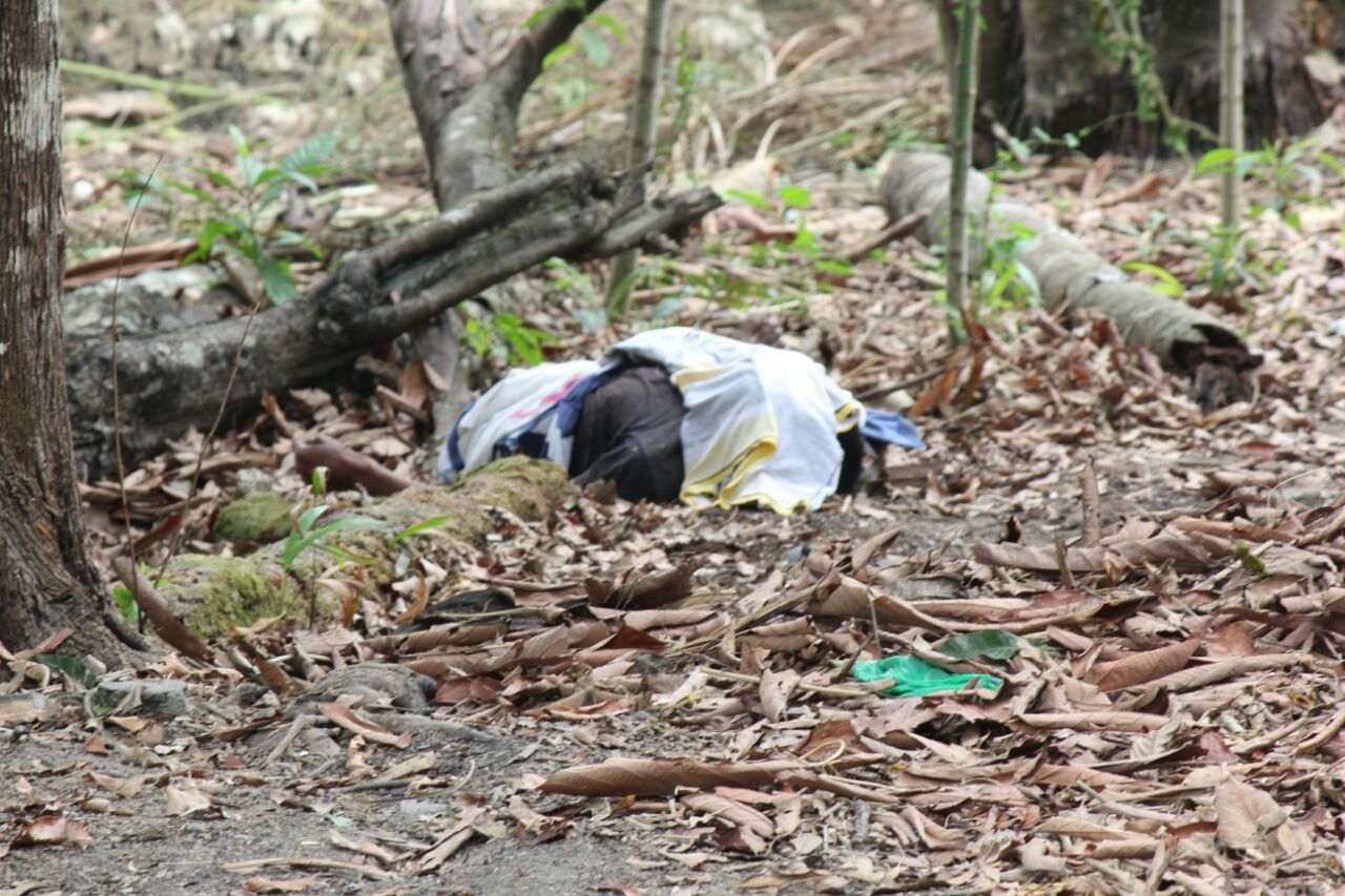 Mulher vai pegar manga em terreno baldio e encontra corpo semidegolado em Manaus