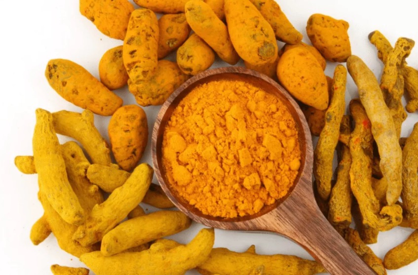 Conheça 3 antibióticos naturais capazes de prevenir e combater infecções bacterianas