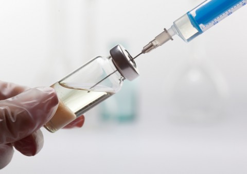 Testes indicam que vacina contra zika pode prevenir a transmissão na gravidez