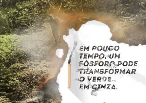 Evitar as queimadas é responsabilidade de todos