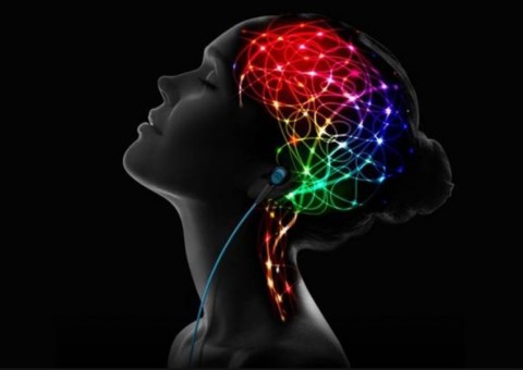 Conheça alimentos que contribuem para produção de neurotransmissor ligado ao prazer 