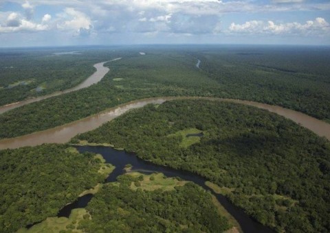 Artur Bernardes, a luta contra os EUA e a internacionalização da Amazônia