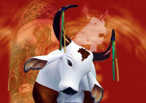  Boi Corre Campo é campeão da Categoria Ouro do Festival Folclórico do Amazonas