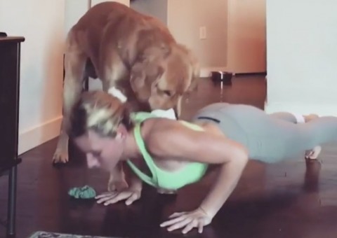 Cachorro tenta ‘ajudar' dona a ser fitness mas o pior acontece