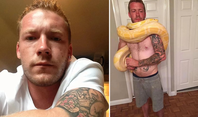 Após criar píton em casa, homem é encontrado morto por asfixia 