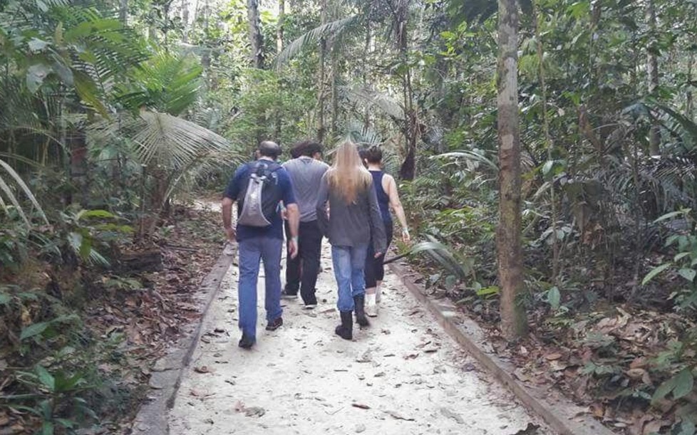 Museu da Amazônia promove 2ª edição da caminhada noturna na floresta