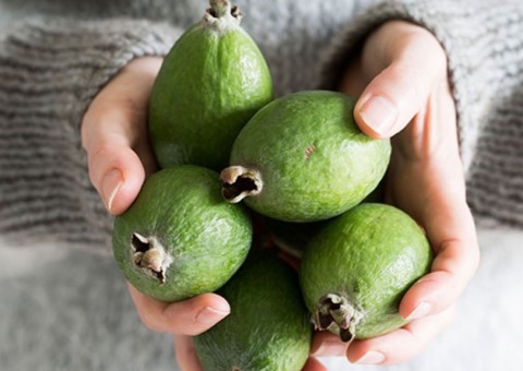 Fruto semelhante à goiaba é útil no combate à anemia. Conheça 