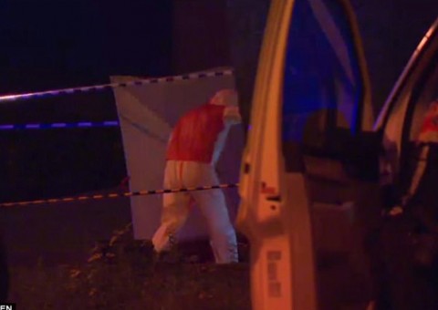 Mãe mata filha de 2 anos assada em churrasqueira após divórcio 