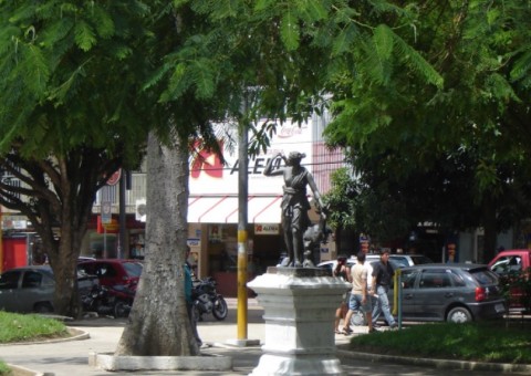 Suspeito é preso enquanto escalava árvore para roubar lojas no Centro de Manaus