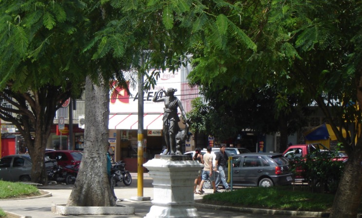 Suspeito é preso enquanto escalava árvore para roubar lojas no Centro de Manaus