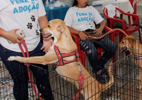 “Doação de Pets” ganha segunda edição neste fim de semana em Manaus 