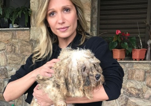 Luisa Mell resgata 135 cães maltratados em canil e repercute na web