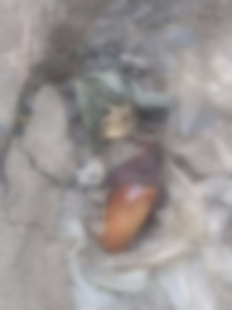 Brincando com cachorro no quintal, crianças encontram corpo com vísceras expostas em Manaus