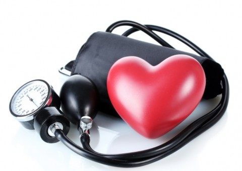 Espécie de alfazema trata hipertensão, colesterol e crises nervosas 