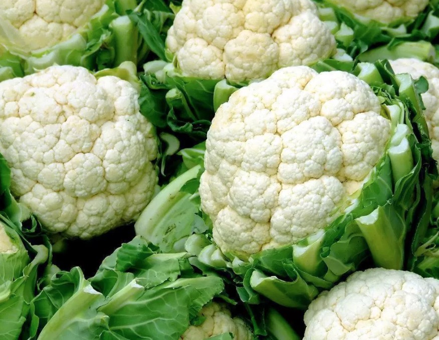 Conheça vegetais que ajudam o corpo na produção de testosterona 