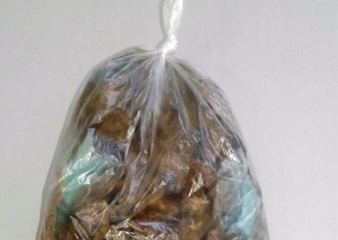 Mulher é presa levando drogas dentro das partes íntimas para marido em presídio de Manaus