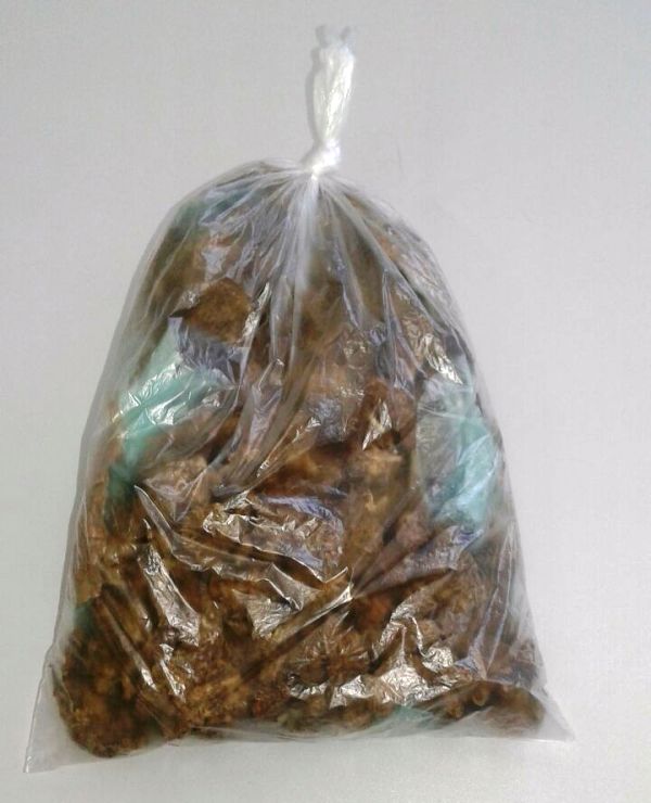 Mulher é presa levando drogas dentro das partes íntimas para marido em presídio de Manaus