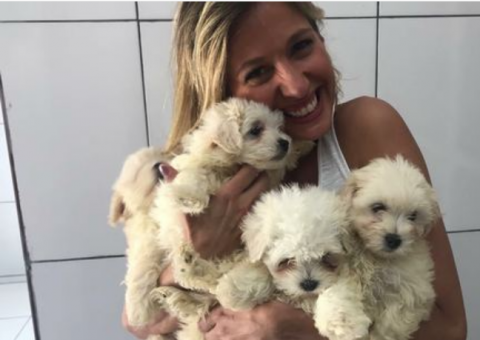 Após resgate comovente, Luisa Mell tenta guarda de cães na Justiça