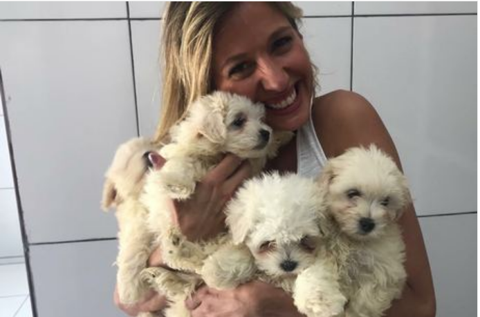 Após resgate comovente, Luisa Mell tenta guarda de cães na Justiça