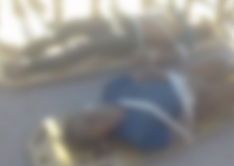 Três indígenas são assassinados a tiros no Amazonas