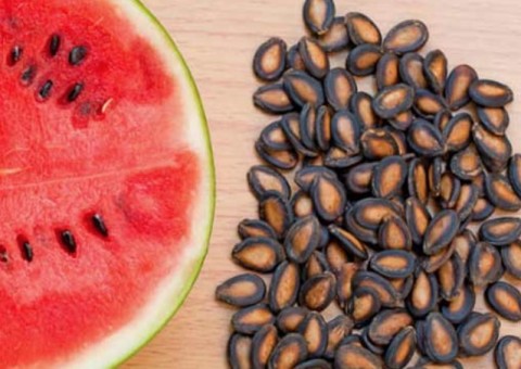 Chá de semente de fruta pode auxiliar no combate à disfunção erétil 