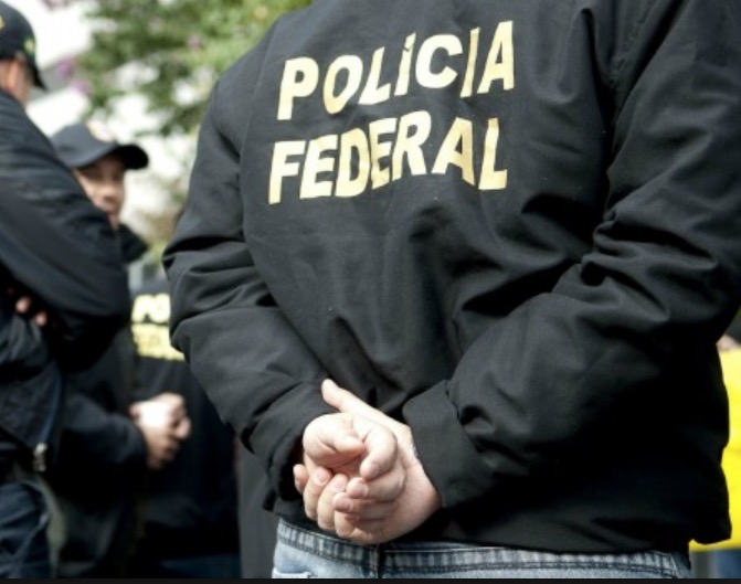 PF combate extração ilegal de madeira nobre em Cachoeira Seca, no Pará 