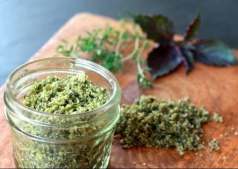 Conheça espécie de planta que pode produzir “sal verde” 