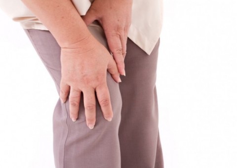 Vegetal pode ser uma alternativa para prevenir e evitar avanço da artrose. Conheça 