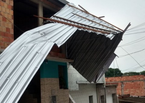 Chuva tomba árvore e destelha quatro casas em Manaus