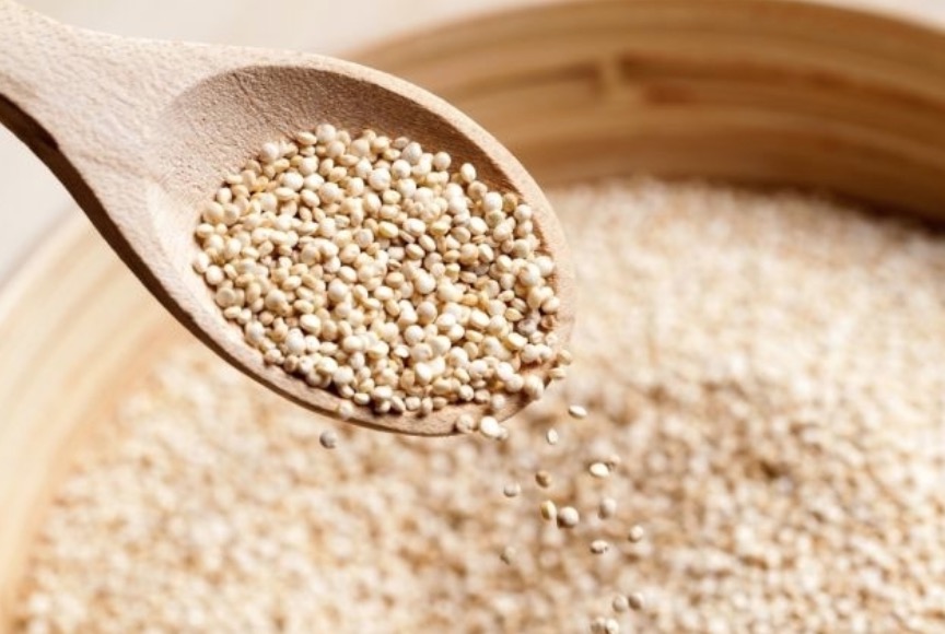 Folhas de planta ricas em minerais podem combater anemia e desnutrição 