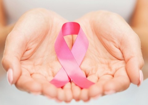 Espécie de cajá é antioxidante e pode ser usado em tratamento contra câncer 