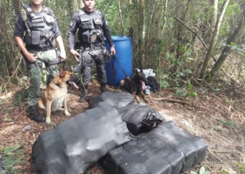 Após tiroteio com traficantes, polícia apreende 700 kg de drogas no Amazonas