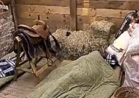 A Fazenda: Marcos Harter e Ana Paula Minerato movimentam o edredom