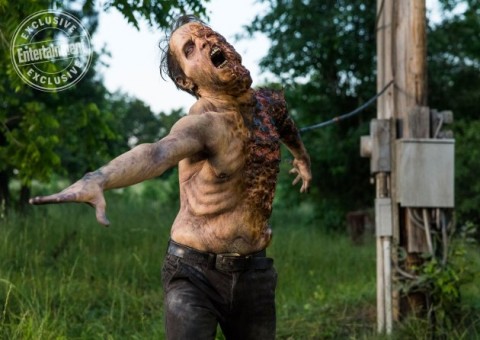 Criador de The Walking Dead confirma que [SPOILER] vai morrer