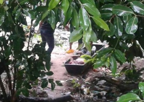 Homem é 'esfaqueado pelas costas’ e jogado morto dentro de Curubal em Manaus