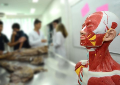  UEA inicia Feira de Anatomia Humana nesta segunda-feira em Manaus 