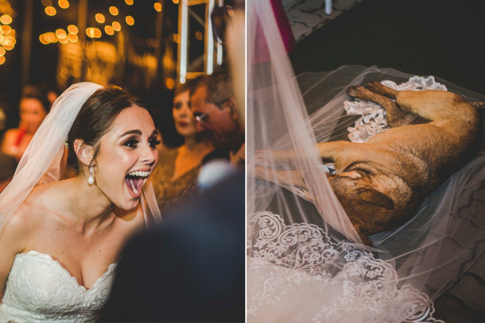 Noiva surpreende a todos após cachorro invadir casamento e deitar no véu