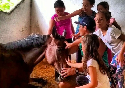 Shopping em Manaus tem fazendinha no mês da criança