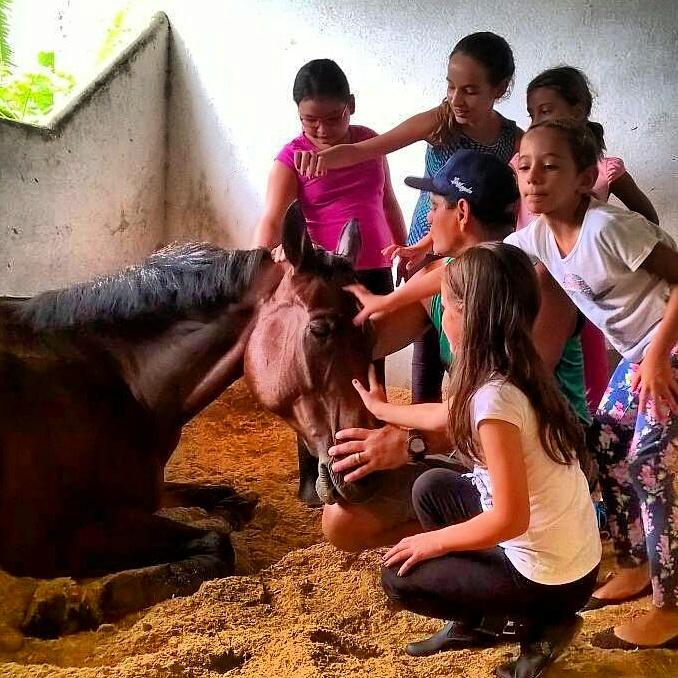 Shopping em Manaus tem fazendinha no mês da criança
